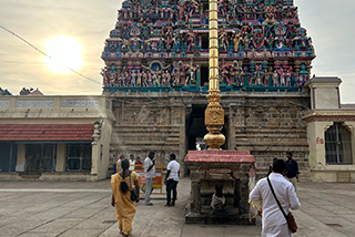 預言の葉　ナディリーフ